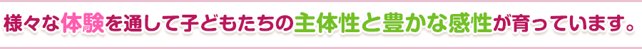 様々な体験を通して子どもたちの主体性と豊かな感性が育っています。